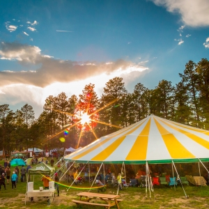 MeadowGrass music festival main tent